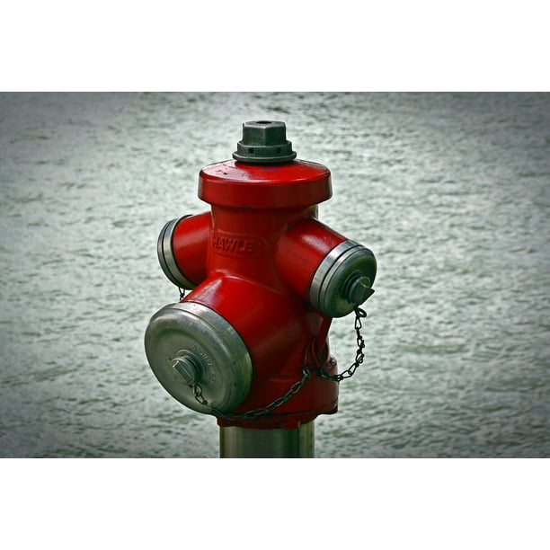 Red Fire Hydrant Black and White Background Canvas Art Poster Print Wall Decor